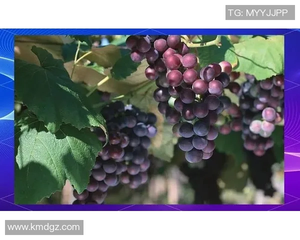 畅享夏日清凉与自信,精选泳装品牌引领时尚潮流,让你绽放迷人魅力 畅享夏日清凉与自信,精选泳装品牌引领时尚潮流,让你绽放迷人魅力