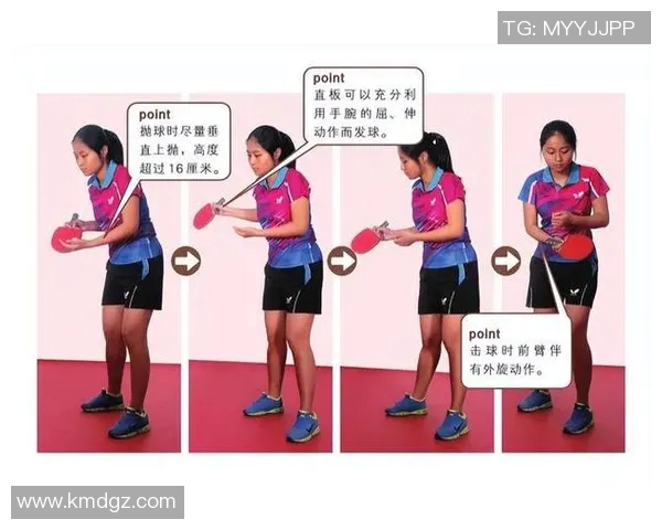 从零基础到高手之路乒乓球技术全方位提升指南 从零基础到高手之路乒乓球技术全方位提升指南