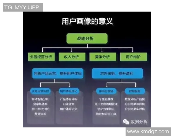 深入探讨上海飞盘队战术表现与数据分析的关系与启示