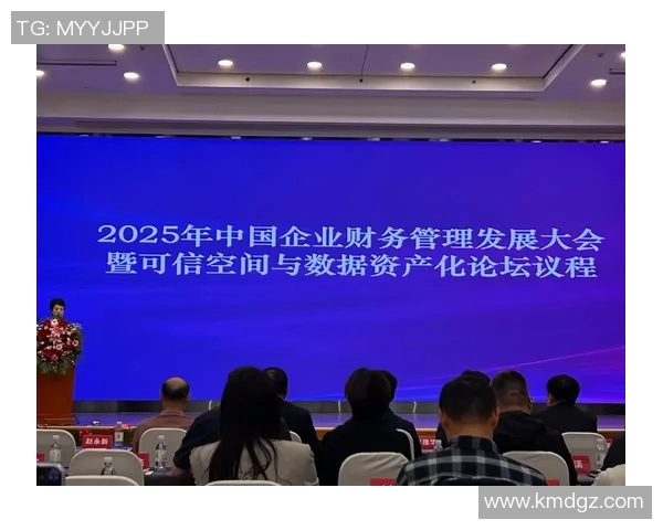 会计在现代企业管理中的核心作用与发展趋势分析