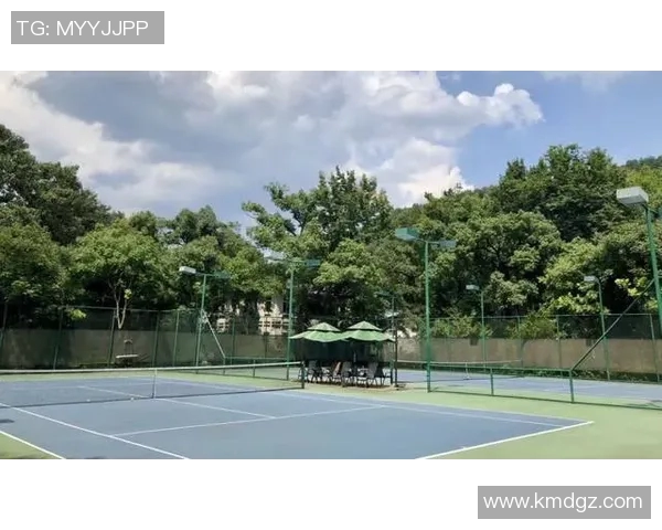 杭州网球队运营模式分析与发展前景探讨