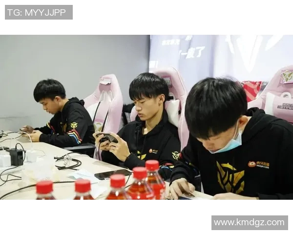 王者荣耀评论分析：WE战队包夹策略的成功与不足之处探讨