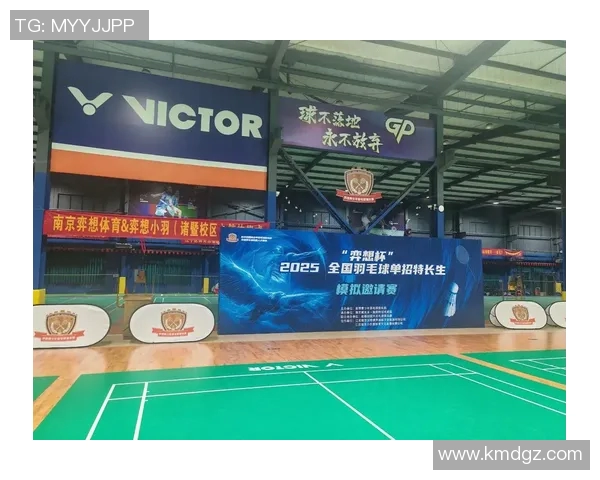 南京羽毛球队运营策略深度分析与发展前景展望