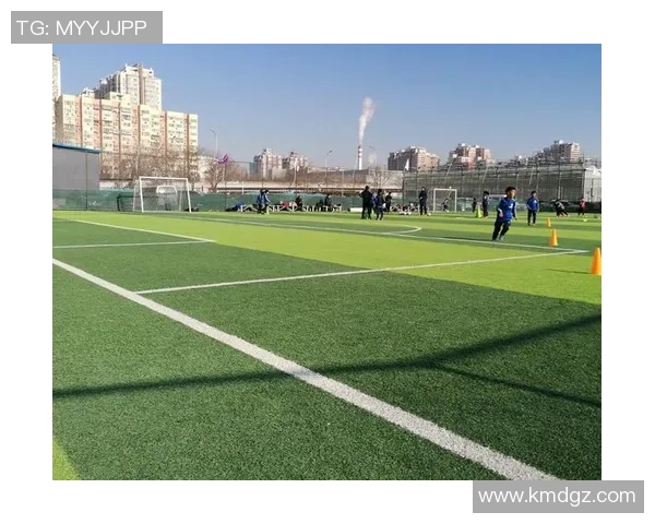 足球小子勇闯绿茵场挑战极限梦想与热血拼搏书写属于自己的传奇之路